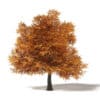 Autumn Trees 3D Models Collection - Volume 115 - Image 35