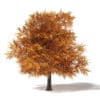 Autumn Trees 3D Models Collection - Volume 115 - Image 37