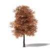 Autumn Trees 3D Models Collection - Volume 115 - Image 44