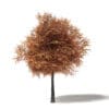 Autumn Trees 3D Models Collection - Volume 115 - Image 45