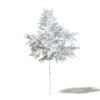 Alder 3D Model 2.3m - Image 4