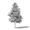 Alder 3D Model 8m - Image 2