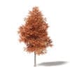 Alder 3D Model 7.2m - Image 3