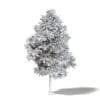 Alder 3D Model 7.2m - Image 4