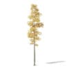 Silver Birch 3D Model 11m - Image 3