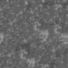 Frozen Grass with Snow PBR Texture - Image 4