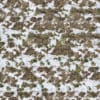 Snow Covering Grass PBR Texture - Image 2