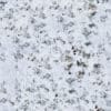 Snow Covering Grass PBR Texture - Image 2