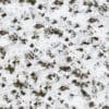 Snow Covering Grass and Dirt PBR Texture - Image 2