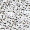 Snow Covering Grass and Dirt PBR Texture - Image 2