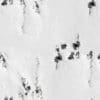 Snowy Mountain PBR Texture - Image 2