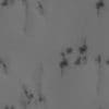 Snowy Mountain PBR Texture - Image 4