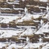 Tree Bark with Snow PBR Texture - Image 2