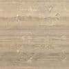 Wood PBR Texture - Image 2