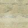 Wood PBR Texture - Image 2