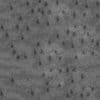 Orange Fabric PBR Texture - Image 4
