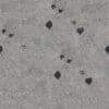 Grey Asphalt with Spots PBR Texture - Image 2