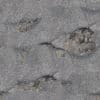 Rough Grey Asphalt PBR Texture - Image 2