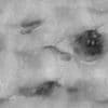 Rough Grey Asphalt PBR Texture - Image 4
