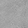 Grey Concrete PBR Texture - Image 4