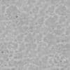 Grey Concrete PBR Texture - Image 4