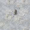Rough Concrete PBR Texture - Image 2