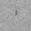 Rough Concrete PBR Texture - Image 4