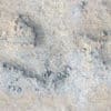 Rough Concrete with Rocks PBR Texture - Image 2
