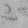 Rough Concrete with Rocks PBR Texture - Image 4