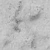 Rough Concrete with Rocks PBR Texture - Image 4