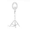 Ring Light 3D Model - Image 4