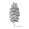 Red Alder Tree 3D Model 13m - Image 2