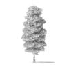 Red Alder Tree 3D Model 13m - Image 4