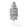 Red Alder Tree 3D Model 14.5m - Image 6