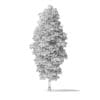 Green Ash Tree 3D Model 8.6m - Image 6