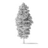 Green Ash Tree 3D Model 8.6m - Image 8