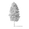 Green Ash Tree 3D Model 9m - Image 2