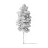 Quaking Aspen Tree 3D Model 4.3m - Image 4
