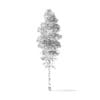 Quaking Aspen Tree 3D Model 6.7m - Image 2