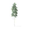 Quaking Aspen Tree 3D Model 6.7m - Image 3