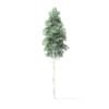 Quaking Aspen Tree 3D Model 8m - Image 3