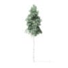 Quaking Aspen Tree 3D Model 8m - Image 5
