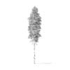 Quaking Aspen Tree 3D Model 10.5m - Image 2