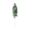 Quaking Aspen Tree 3D Model 10.5m - Image 5