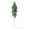North American Trees 3D Models Collection - Volume 120 - Image 37