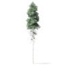 North American Trees 3D Models Collection - Volume 120 - Image 38