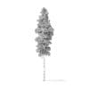 Quaking Aspen Tree 3D Model 12.7m - Image 2
