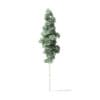 Quaking Aspen Tree 3D Model 12.7m - Image 3