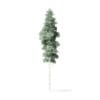 Quaking Aspen Tree 3D Model 12.7m - Image 5