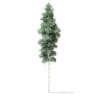 North American Trees 3D Models Collection - Volume 120 - Image 39